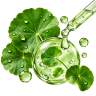Centella Asiatica icoon